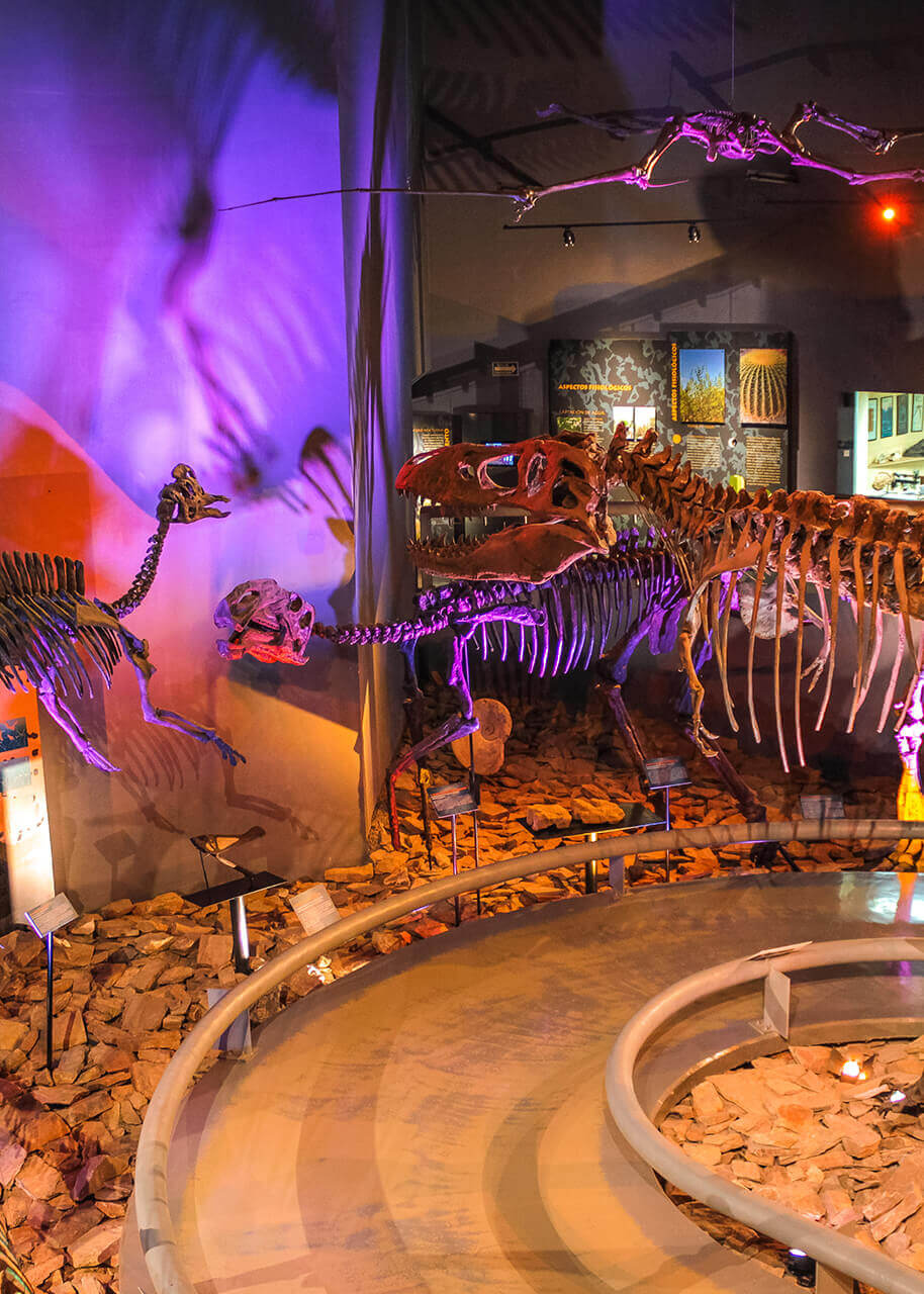 Museo del Desierto de Coahuila de Zaragoza